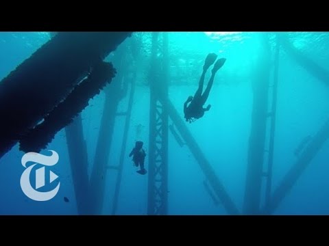 Turning Oil Rigs Into Reefs